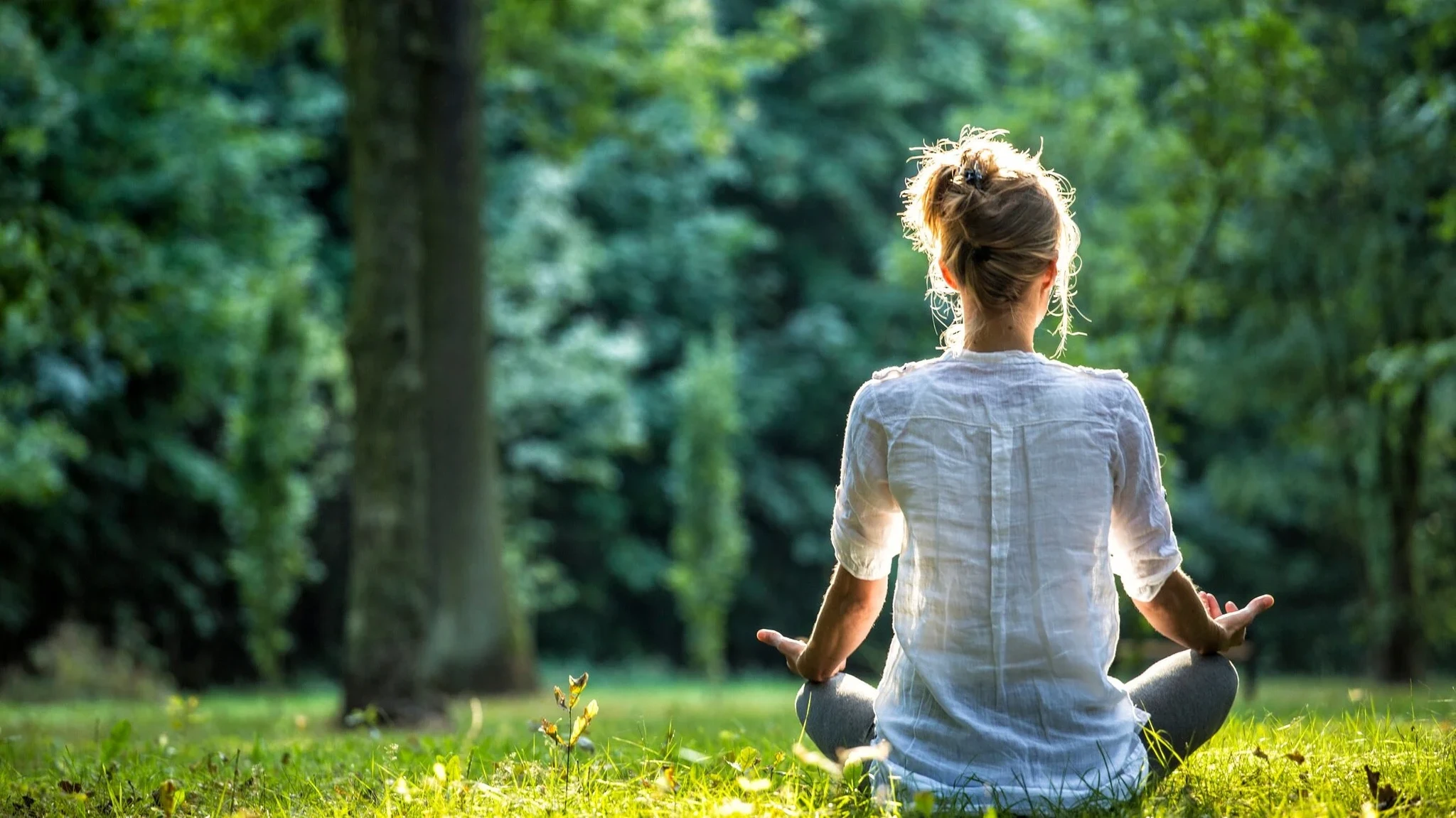 aha Yoga Therapy & Meditation - 
